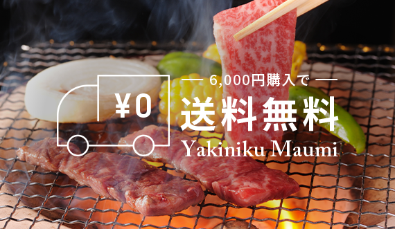 6000円購入で送料無料